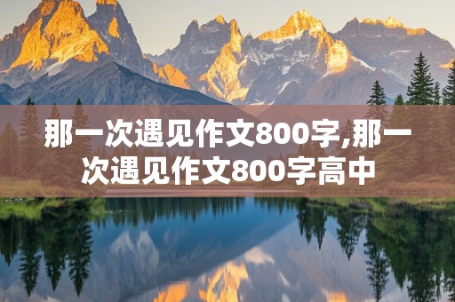 那一次遇见作文800字,那一次遇见作文800字高中