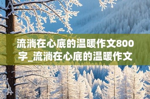 流淌在心底的温暖作文800字_流淌在心底的温暖作文800字初一