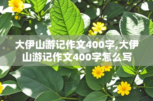 大伊山游记作文400字,大伊山游记作文400字怎么写