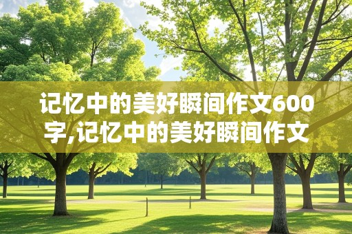 记忆中的美好瞬间作文600字,记忆中的美好瞬间作文600字初中