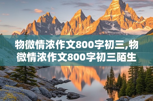 物微情浓作文800字初三,物微情浓作文800字初三陌生人