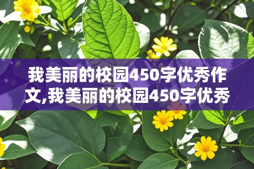 我美丽的校园450字优秀作文,我美丽的校园450字优秀作文三年级