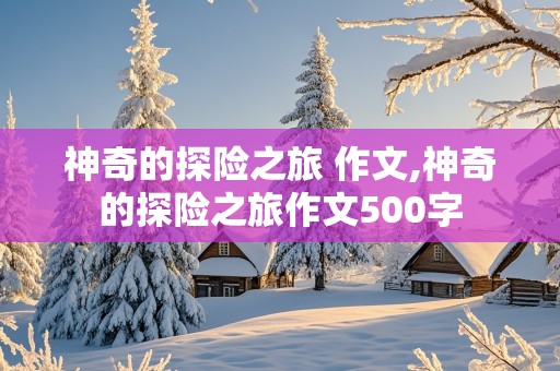 神奇的探险之旅 作文,神奇的探险之旅作文500字