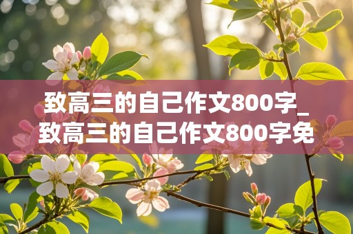 致高三的自己作文800字_致高三的自己作文800字免费