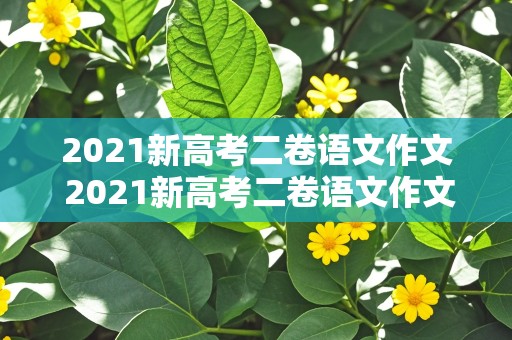 2021新高考二卷语文作文 2021新高考二卷语文作文范文