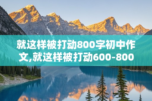 就这样被打动800字初中作文,就这样被打动600-800字作文