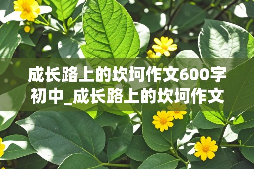 成长路上的坎坷作文600字初中_成长路上的坎坷作文600字初中生