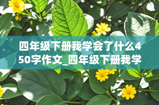 四年级下册我学会了什么450字作文_四年级下册我学会了什么450字作文范文