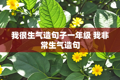 我很生气造句子一年级 我非常生气造句