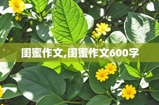 闺蜜作文,闺蜜作文600字