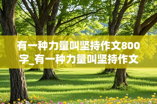 有一种力量叫坚持作文800字_有一种力量叫坚持作文800字记叙文