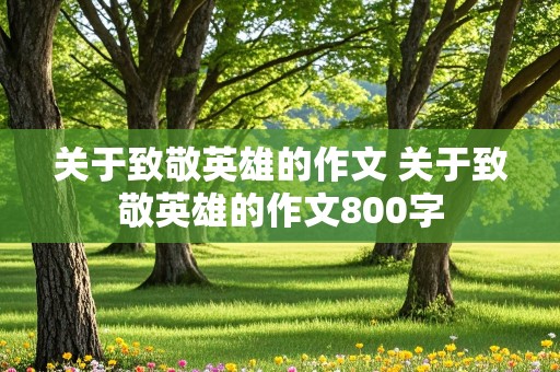 关于致敬英雄的作文 关于致敬英雄的作文800字