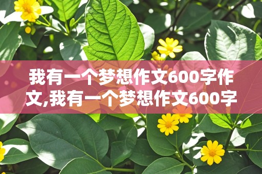 我有一个梦想作文600字作文,我有一个梦想作文600字作文医生