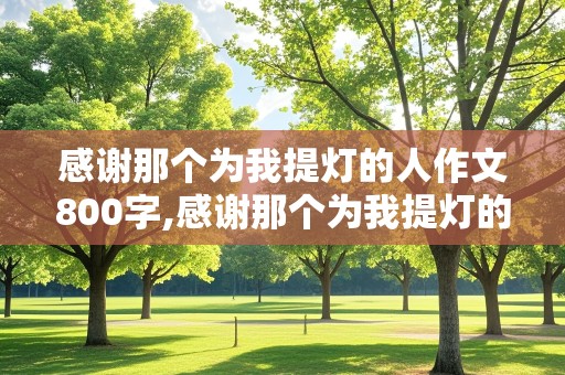 感谢那个为我提灯的人作文800字,感谢那个为我提灯的人作文800字初一