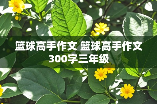 篮球高手作文 篮球高手作文300字三年级