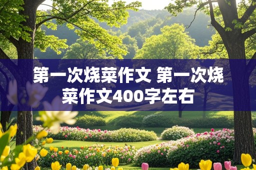 第一次烧菜作文 第一次烧菜作文400字左右