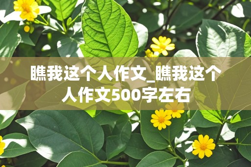 瞧我这个人作文_瞧我这个人作文500字左右