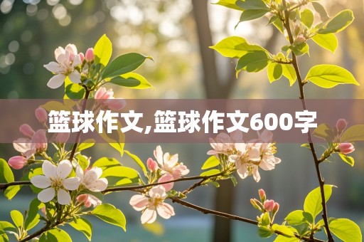 篮球作文,篮球作文600字