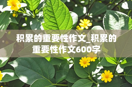 积累的重要性作文_积累的重要性作文600字