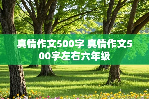 真情作文500字 真情作文500字左右六年级