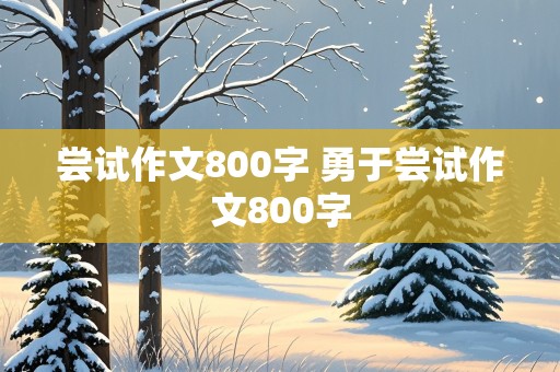 尝试作文800字 勇于尝试作文800字