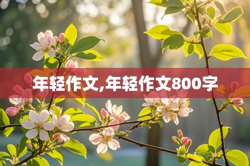 年轻作文,年轻作文800字