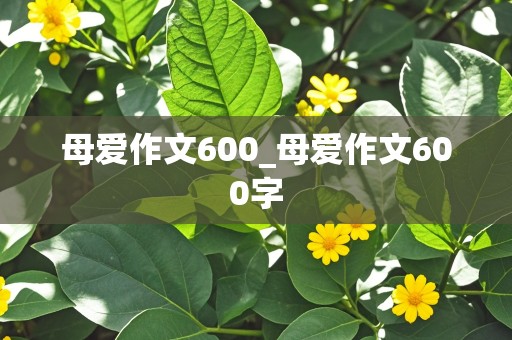 母爱作文600_母爱作文600字