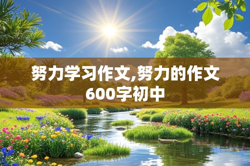 努力学习作文,努力的作文600字初中