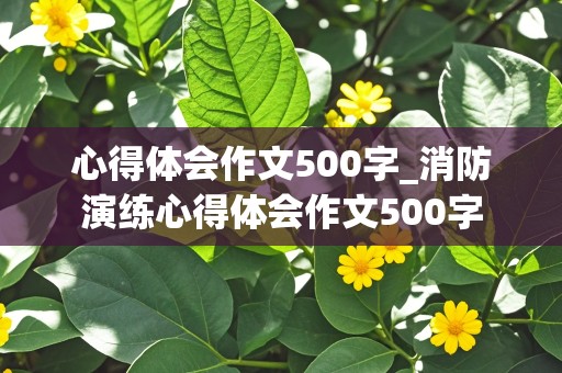 心得体会作文500字_消防演练心得体会作文500字