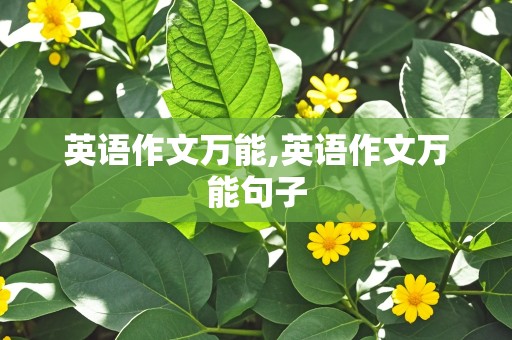 英语作文万能,英语作文万能句子