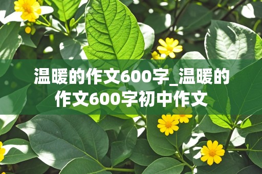 温暖的作文600字_温暖的作文600字初中作文