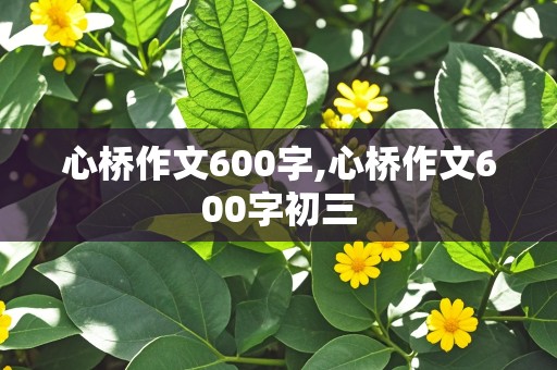 心桥作文600字,心桥作文600字初三