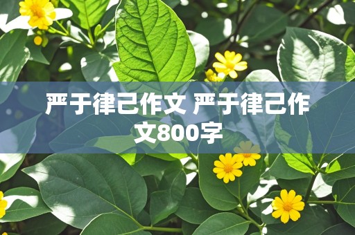 严于律己作文 严于律己作文800字