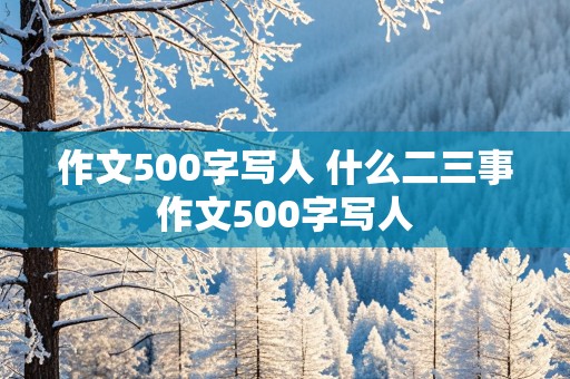 作文500字写人 什么二三事作文500字写人