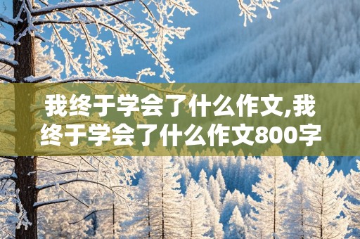 我终于学会了什么作文,我终于学会了什么作文800字