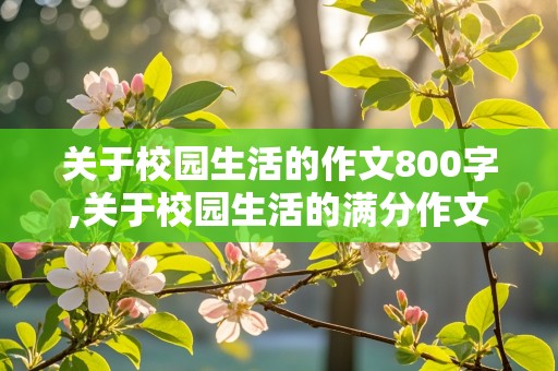 关于校园生活的作文800字,关于校园生活的满分作文600