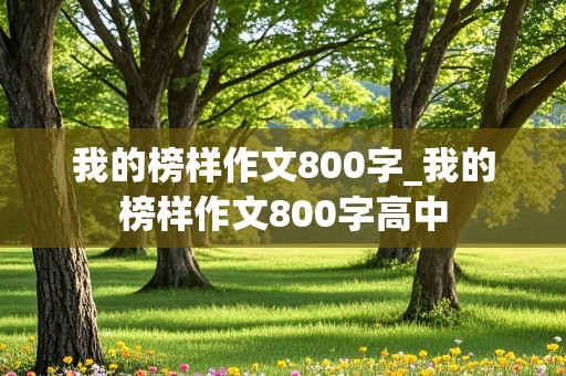 我的榜样作文800字_我的榜样作文800字高中