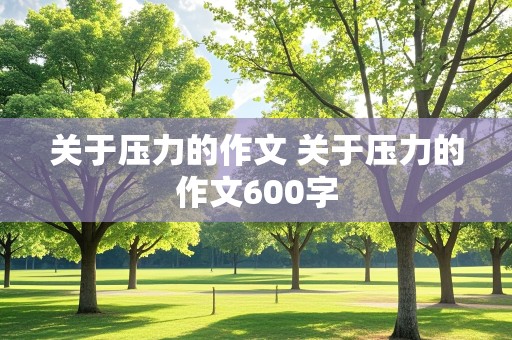 关于压力的作文 关于压力的作文600字