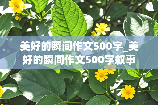 美好的瞬间作文500字_美好的瞬间作文500字叙事