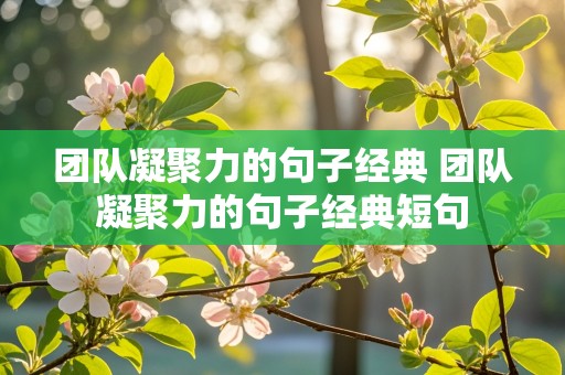 团队凝聚力的句子经典 团队凝聚力的句子经典短句