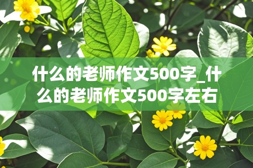 什么的老师作文500字_什么的老师作文500字左右