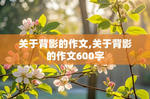 关于背影的作文,关于背影的作文600字