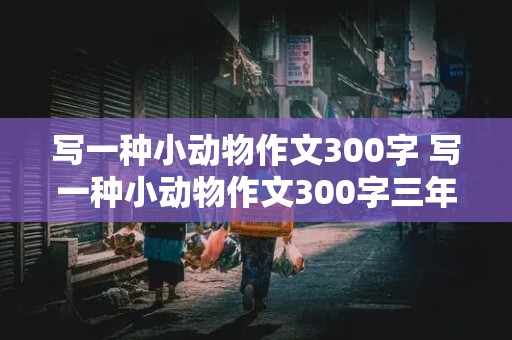 写一种小动物作文300字 写一种小动物作文300字三年级