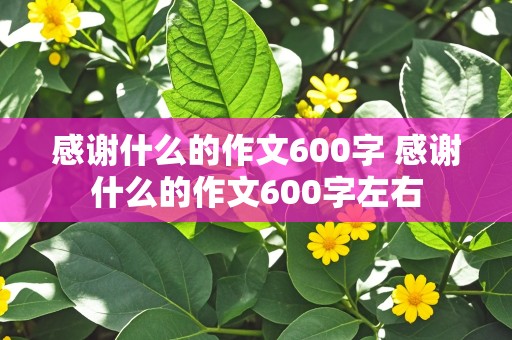 感谢什么的作文600字 感谢什么的作文600字左右