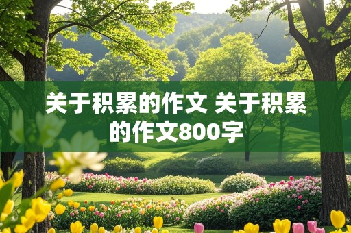 关于积累的作文 关于积累的作文800字