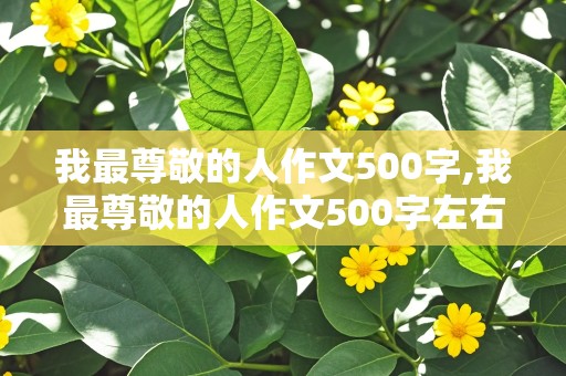 我最尊敬的人作文500字,我最尊敬的人作文500字左右