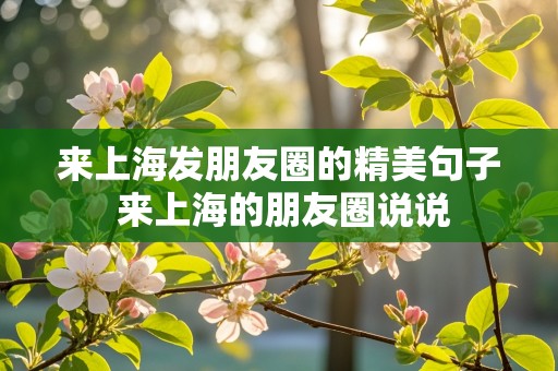 来上海发朋友圈的精美句子 来上海的朋友圈说说