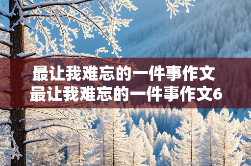 最让我难忘的一件事作文 最让我难忘的一件事作文600字