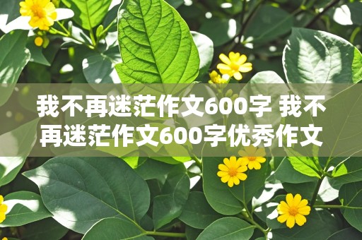 我不再迷茫作文600字 我不再迷茫作文600字优秀作文