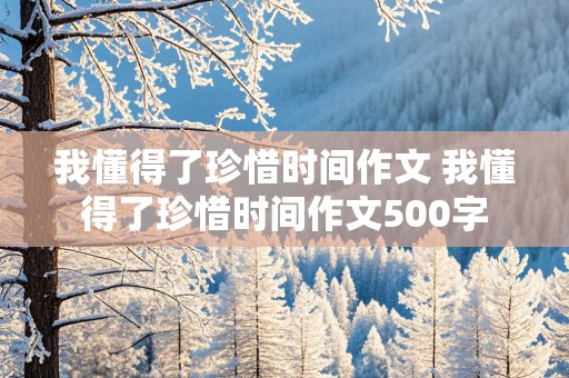 我懂得了珍惜时间作文 我懂得了珍惜时间作文500字